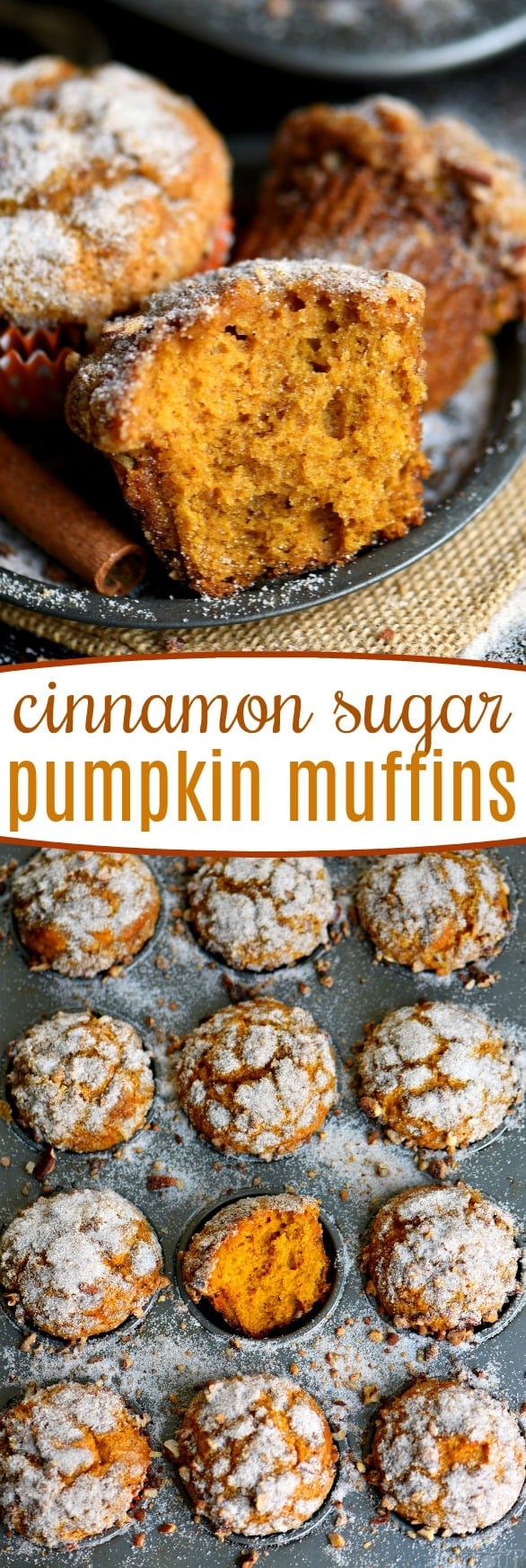 cinnamon-sugar-pumpkin-muffins-pan-close-up-800x1122